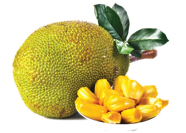 Джекфрут
Jackfruit
Mít 2