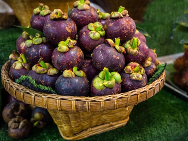 Мангостин
Mangosteen
Măng cụt 1