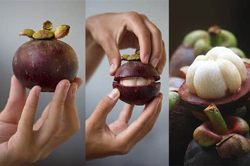 Мангостин
Mangosteen
Măng cụt 2