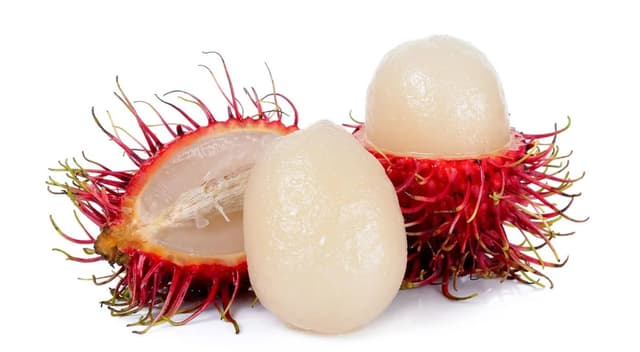 Рамбутан
Rambutan
Chôm Chôm 2
