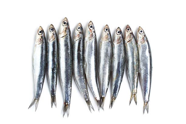 Анчоус
Anchovy
Cá cơm