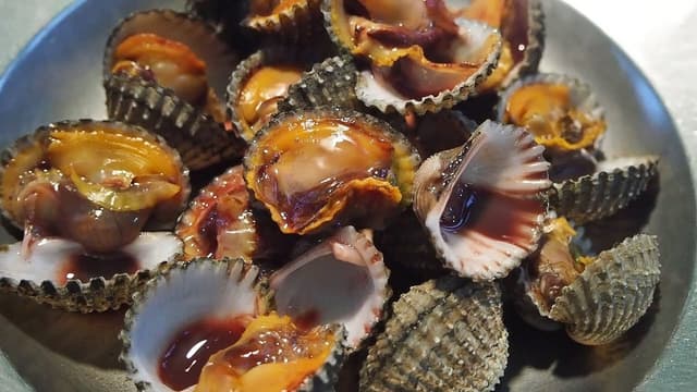 Кровавые моллюски
Blood Cockles
Sò huyết