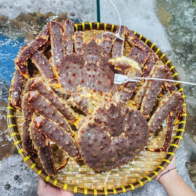 Королевский краб
King Crab
Cua hoàng đế