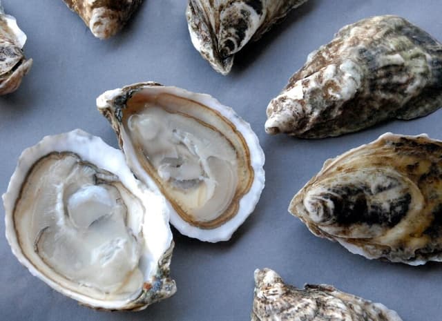 Устрицы
Oysters
Hàu