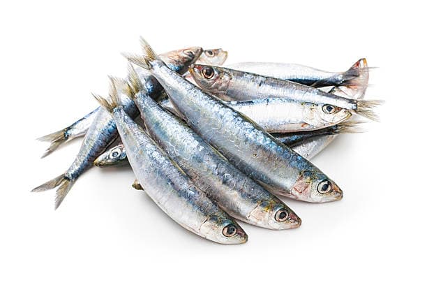 Сардина
Sardine
Cá mòi