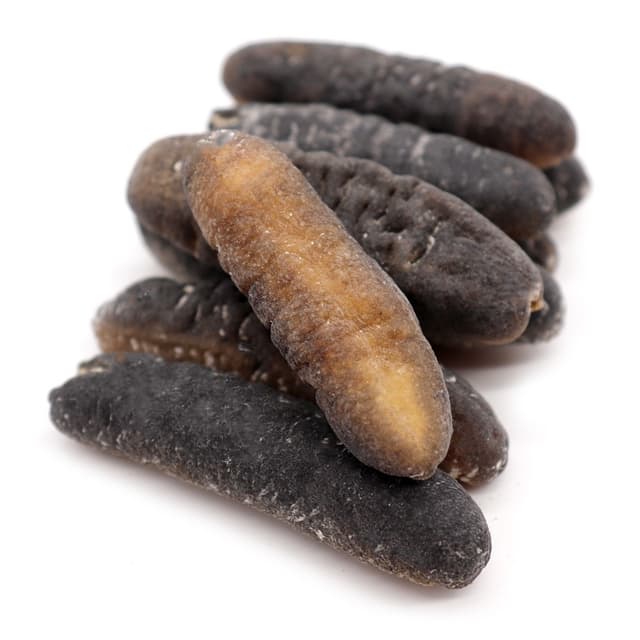 Морской огурец
Sea cucumber
Hải sâm