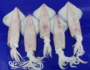 Кальмар
Squid
Mực