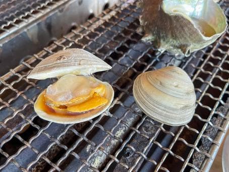Белая ракушка
White Clam
Ngao trắng